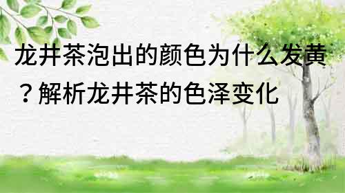 龙井茶泡出的颜色为什么发黄？解析龙井茶的色泽变化