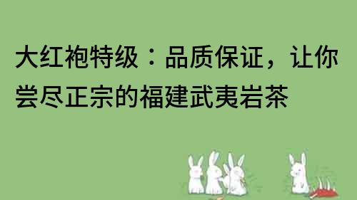 大红袍特级：品质保证，让你尝尽正宗的福建武夷岩茶