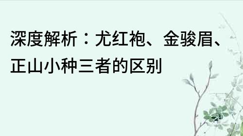 深度解析：尤红袍、金骏眉、正山小种三者的区别