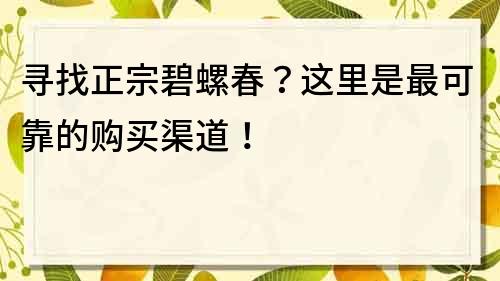 寻找正宗碧螺春？这里是最可靠的购买渠道！