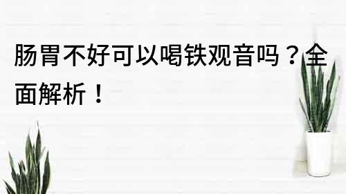 肠胃不好可以喝铁观音吗？全面解析！