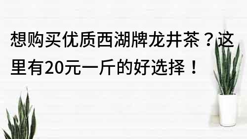 想购买优质西湖牌龙井茶？这里有20元一斤的好选择！