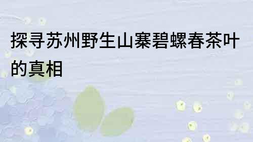 探寻苏州野生山寨碧螺春茶叶的真相