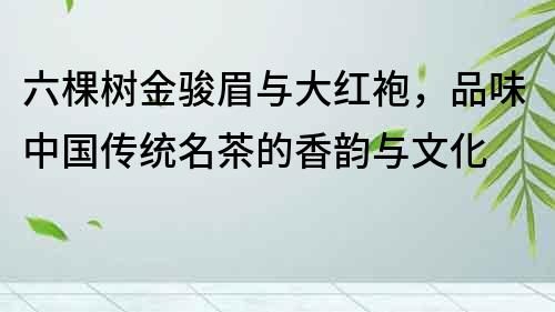 六棵树金骏眉与大红袍，品味中国传统名茶的香韵与文化