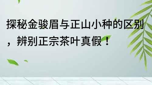 探秘金骏眉与正山小种的区别，辨别正宗茶叶真假！