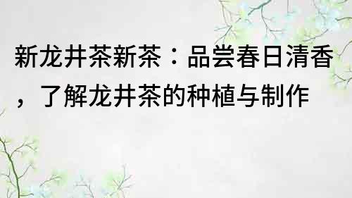 新龙井茶新茶：品尝春日清香，了解龙井茶的种植与制作