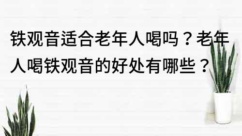 铁观音适合老年人喝吗？老年人喝铁观音的好处有哪些？