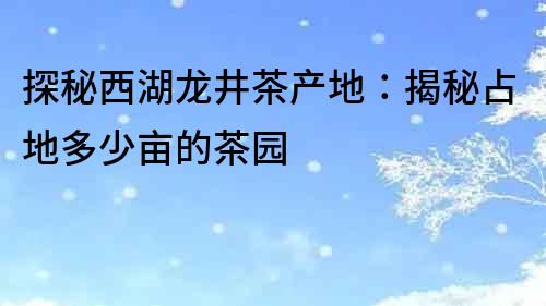 探秘西湖龙井茶产地：揭秘占地多少亩的茶园