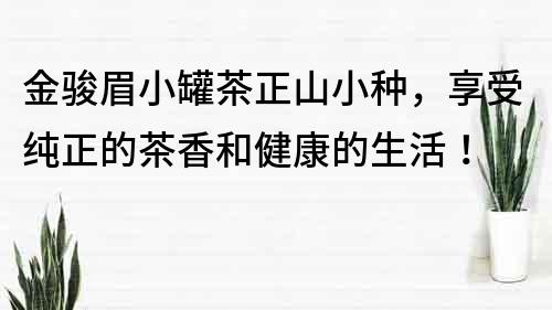 金骏眉小罐茶正山小种，享受纯正的茶香和健康的生活！