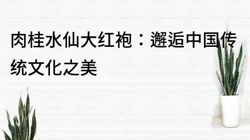 肉桂水仙大红袍：邂逅中国传统文化之美