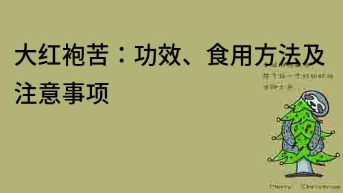 大红袍苦：功效、食用方法及注意事项