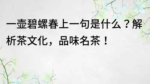 一壶碧螺春上一句是什么？解析茶文化，品味名茶！