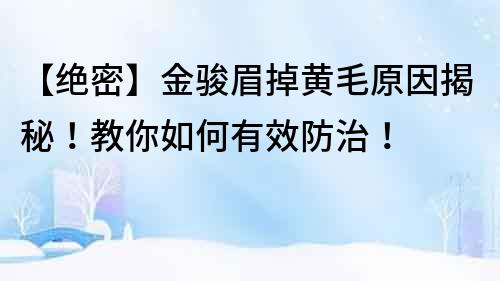 【绝密】金骏眉掉黄毛原因揭秘！教你如何有效防治！