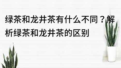 绿茶和龙井茶有什么不同？解析绿茶和龙井茶的区别