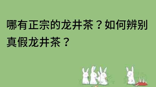 哪有正宗的龙井茶？如何辨别真假龙井茶？