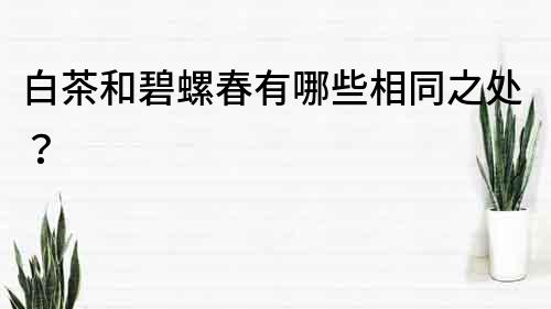 白茶和碧螺春有哪些相同之处？