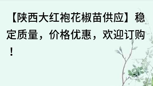 【陕西大红袍花椒苗供应】稳定质量，价格优惠，欢迎订购！