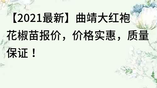 【2021最新】曲靖大红袍花椒苗报价，价格实惠，质量保证！