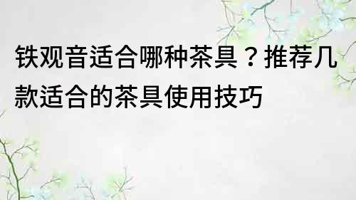 铁观音适合哪种茶具？推荐几款适合的茶具使用技巧