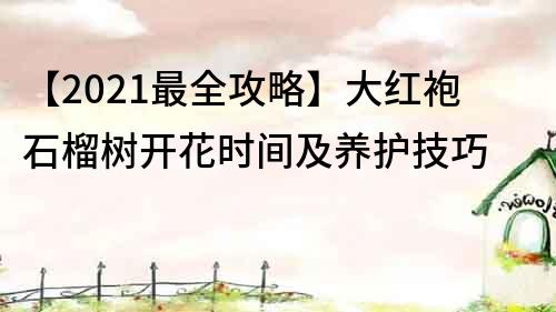 【2021最全攻略】大红袍石榴树开花时间及养护技巧