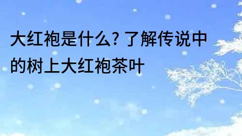 大红袍是什么? 了解传说中的树上大红袍茶叶