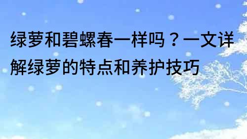 绿萝和碧螺春一样吗？一文详解绿萝的特点和养护技巧