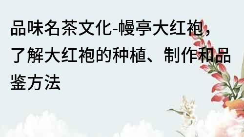 品味名茶文化-幔亭大红袍，了解大红袍的种植、制作和品鉴方法