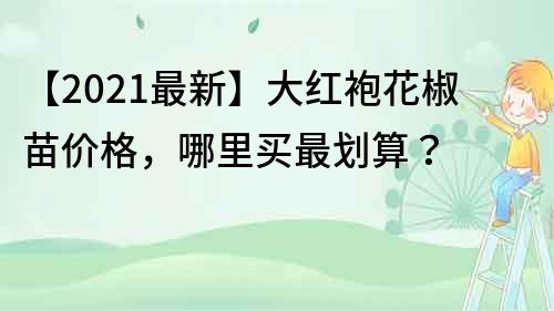 【2021最新】大红袍花椒苗价格，哪里买最划算？