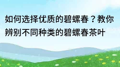 如何选择优质的碧螺春？教你辨别不同种类的碧螺春茶叶