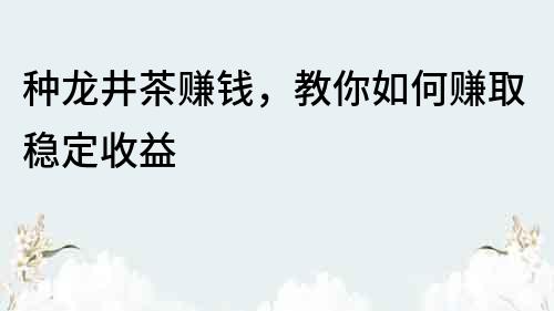 种龙井茶赚钱，教你如何赚取稳定收益