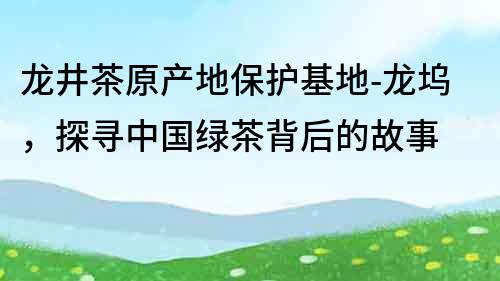 龙井茶原产地保护基地-龙坞，探寻中国绿茶背后的故事