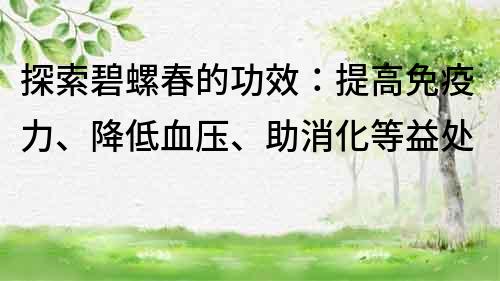 探索碧螺春的功效：提高免疫力、降低血压、助消化等益处