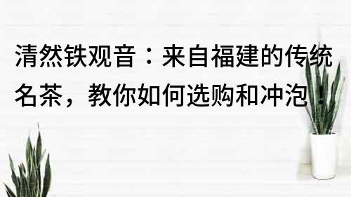 清然铁观音：来自福建的传统名茶，教你如何选购和冲泡！