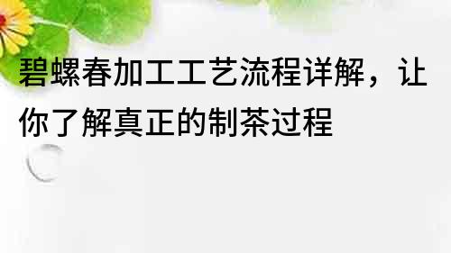 碧螺春加工工艺流程详解，让你了解真正的制茶过程