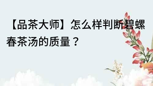 【品茶大师】怎么样判断碧螺春茶汤的质量？