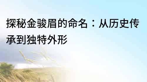 探秘金骏眉的命名：从历史传承到独特外形