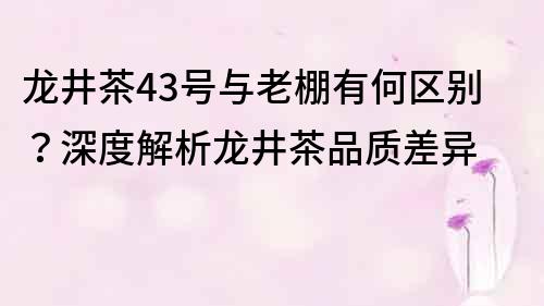 龙井茶43号与老棚有何区别？深度解析龙井茶品质差异