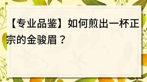 【专业品鉴】如何煎出一杯正宗的金骏眉？