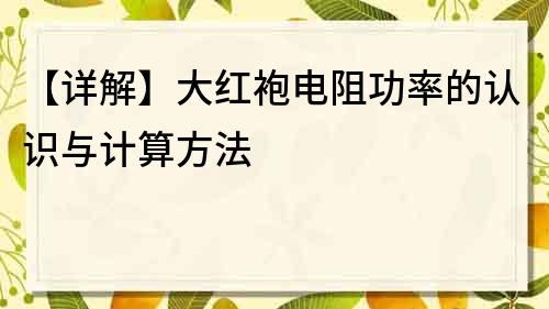 【详解】大红袍电阻功率的认识与计算方法