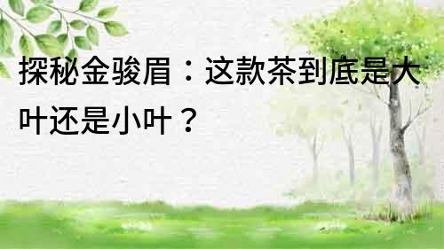 探秘金骏眉：这款茶到底是大叶还是小叶？