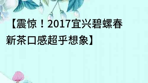 【震惊！2017宜兴碧螺春新茶口感超乎想象】