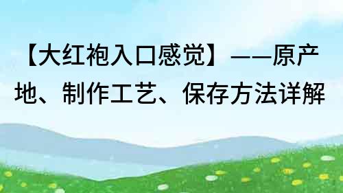 【大红袍入口感觉】——原产地、制作工艺、保存方法详解