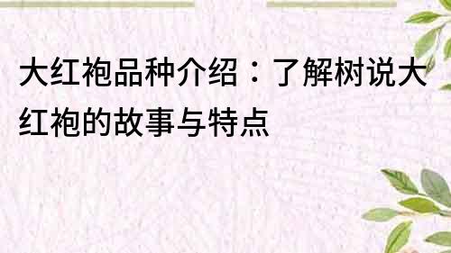 大红袍品种介绍：了解树说大红袍的故事与特点