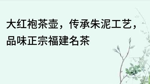 大红袍茶壶，传承朱泥工艺，品味正宗福建名茶