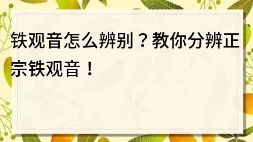 铁观音怎么辨别？教你分辨正宗铁观音！