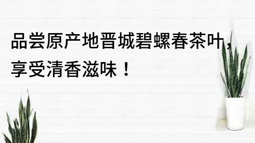 品尝原产地晋城碧螺春茶叶，享受清香滋味！