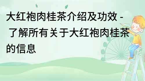 大红袍肉桂茶介绍及功效 - 了解所有关于大红袍肉桂茶的信息