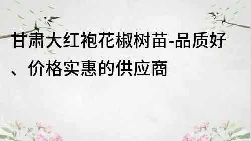 甘肃大红袍花椒树苗-品质好、价格实惠的供应商