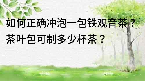 如何正确冲泡一包铁观音茶？茶叶包可制多少杯茶？