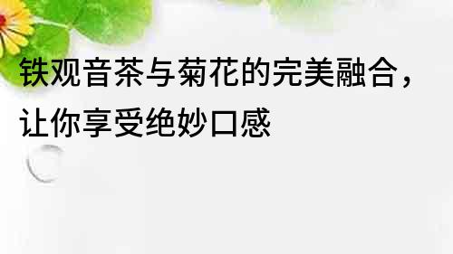 铁观音茶与菊花的完美融合，让你享受绝妙口感